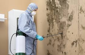 Monee, IL Mold Removal & Remediation Company